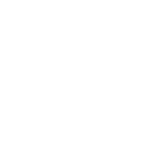 Susan Heinz Jungian Coaching
